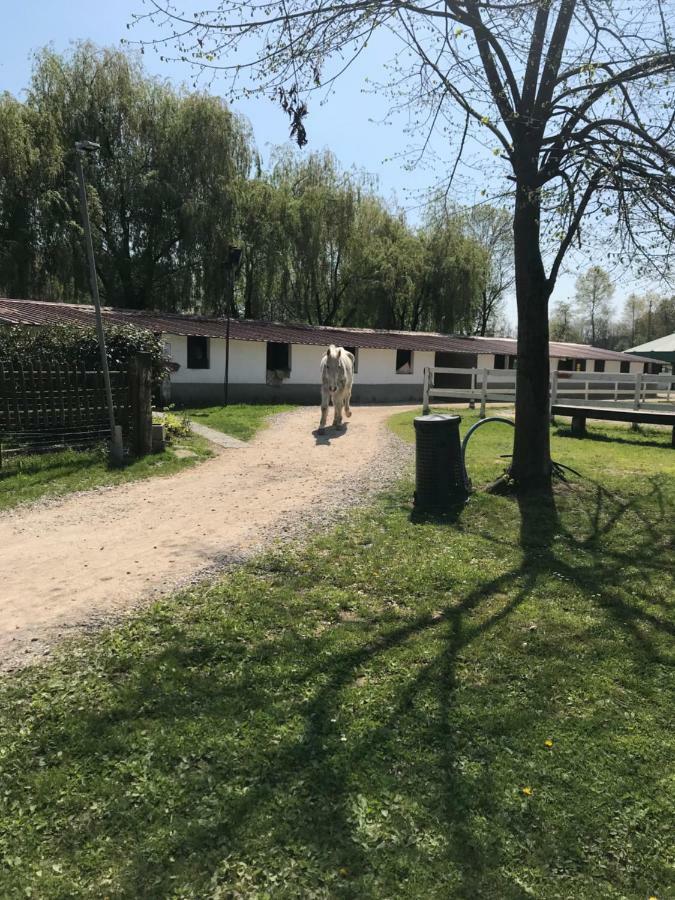 Agriturismo La Fornace Centro Ippico Комо Экстерьер фото
